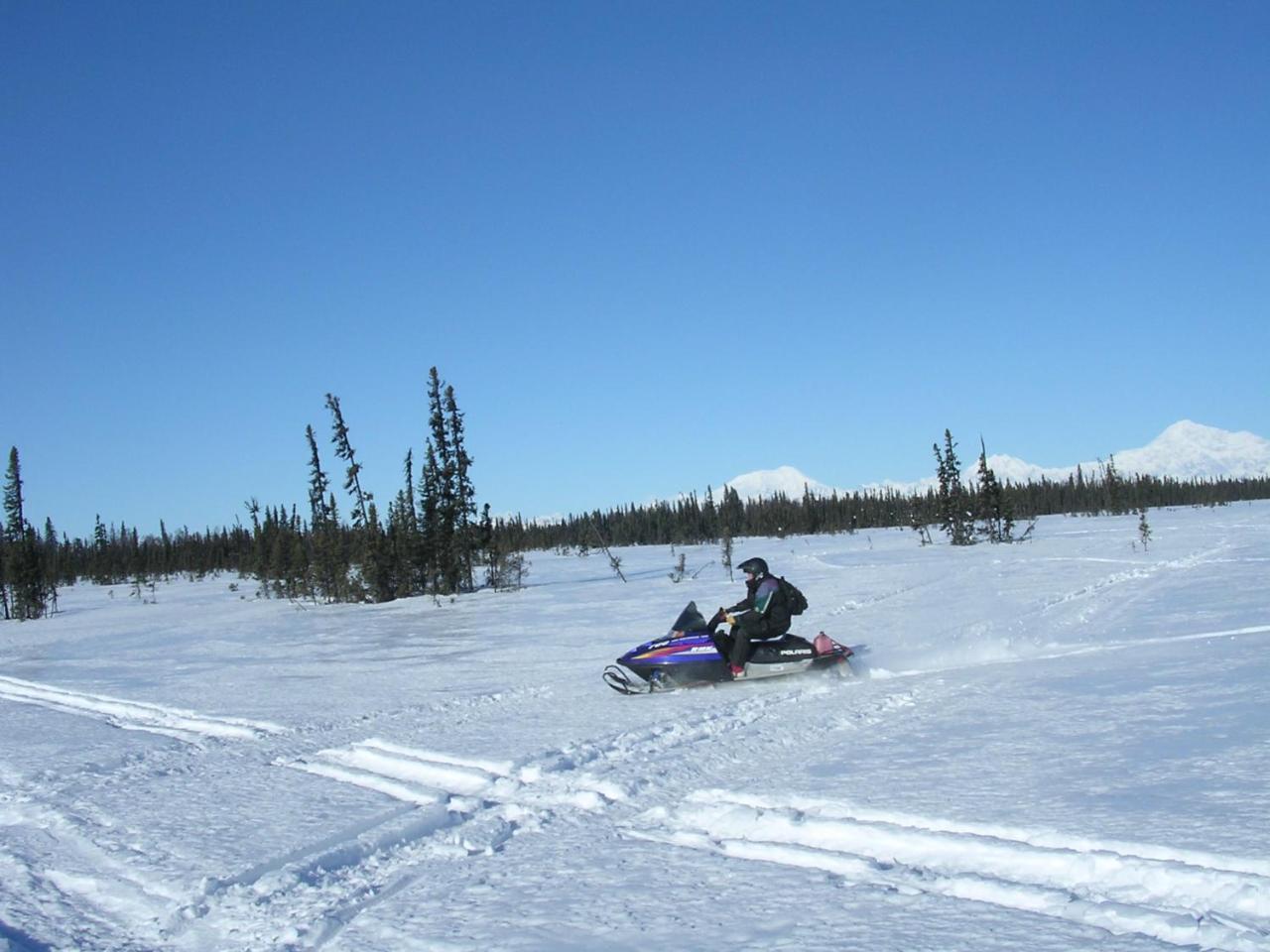 Alaska'S Northland Inn Trapper Creek 외부 사진